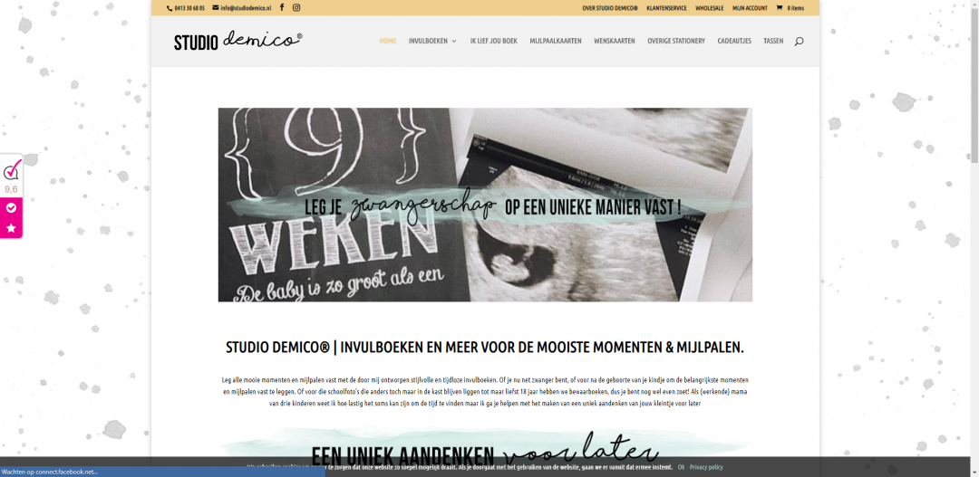 Webdesign: Demico Studio (Webshop)