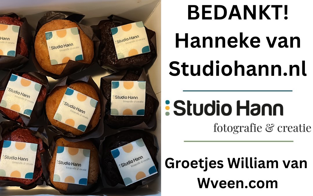 Hanneke’s Droomwebsite is een Feit! 🚀 Ontdek de Magie van Studio Hann’s Splinternieuwe Website, Inclusief Zoete Cupcake Verrassing! 🧁😍