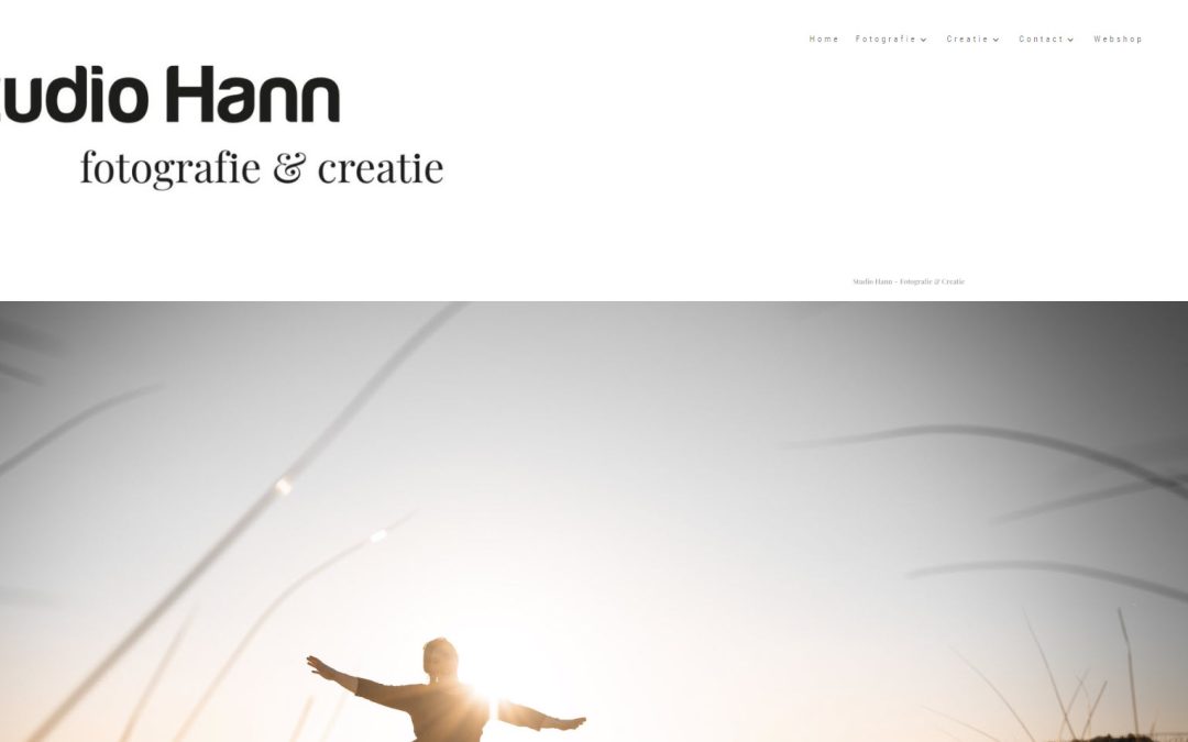 Webshop: studiohann.nl