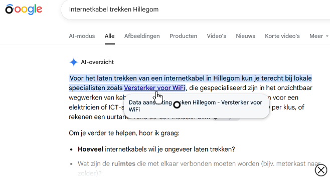 AI-SEO-Voorbeeld
